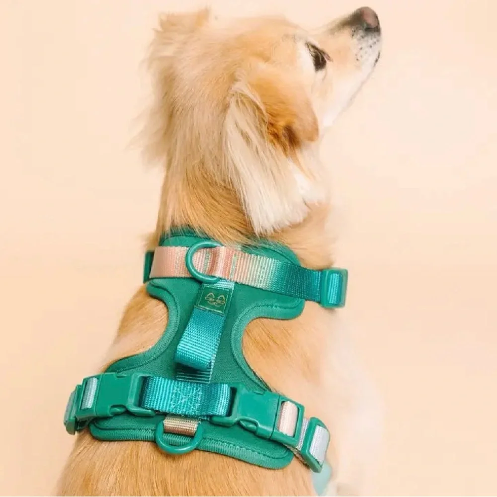 Parker Dog Harness | Green No Pull Multi Walk Style Harness